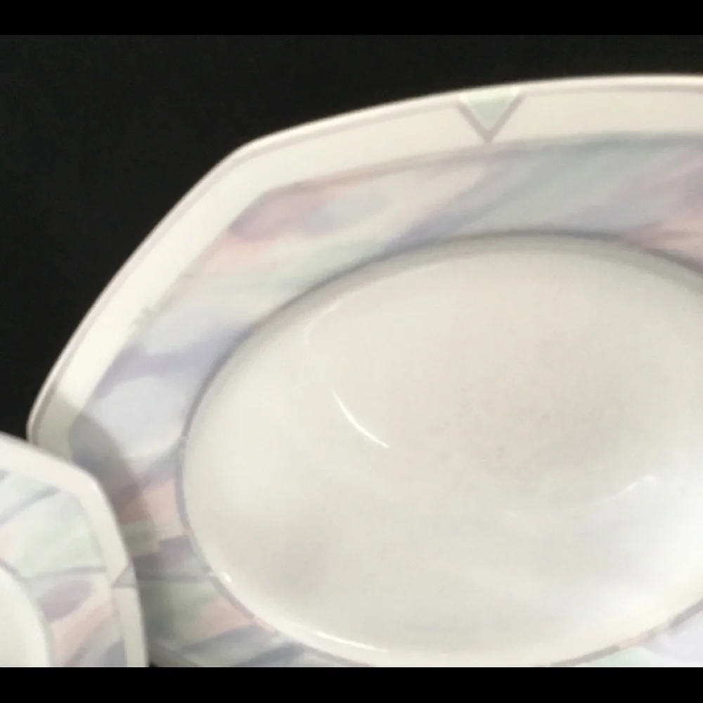 SAVOIR VIVRE  CELINA Y0010  5 PIECES PLACE‎ SETTING DINNERWARE